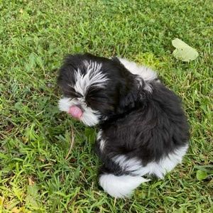 Meet your Posher, Dwayne